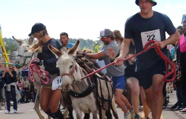 Saddle up for Donkey Derby Days in Cripple Creek