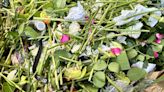 Eco-tip: New reports measure progress on organics recycling