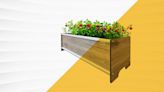 The Best Raised Garden Beds for Happy Plants and Bountiful Harvests