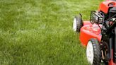Lawns will grow greener and more ‘robust’ when fed with a homemade fertiliser