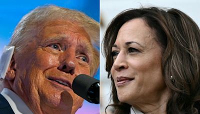 Donald Trump commits to debating Kamala Harris: ‘I think it’s important’