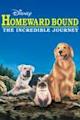 Homeward Bound: The Incredible Journey