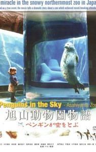 Penguins in the Sky