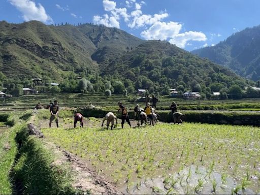 Peace Breathes New Life into Leepa Valley: A Story of Resilience and Renewal