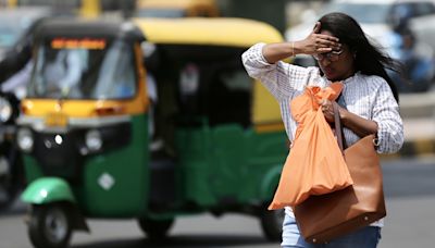 Cinco personas mueren por golpes de calor en Nueva Delhi entre altas temperaturas