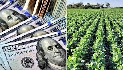 El agro liquidó más de US$ 13.640 millones en lo que va del año