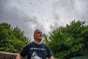 Town invaded by ‘apocalyptic’ swarm of 3,000 seagulls | FOX 28 Spokane