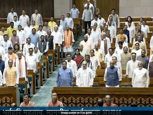 "Goosebumps", "Nerves", "Elation": First Reactions From First-Time MPs