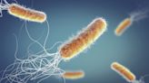 Looming behind antibiotic resistance is another huge threat—antibiotic tolerance