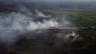 Fires in Brazilian wetlands surge 980%, extreme drought expected