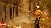 California Park wildfire destroys more than 3.5 lakh acres, becomes largest in US - Times of India