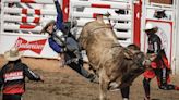 Photo Gallery: Calgary Stampede rodeo competition