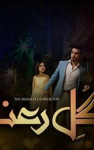 Gul-e-Rana (TV series)