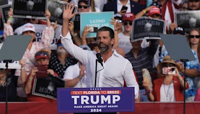 Donald Trump Jr. spars with MSNBC reporter on convention floor: 'I expect nothing less from you clowns'