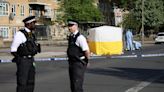 Witnesses 'tried to save' woman, 60, after she was stabbed to death