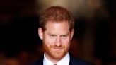 Prince Harry Will Receive Aviation Award for Prior Military Service