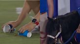 SMU-Navy college football game delayed due to horse poop on the field