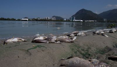 An overdue Olympic pledge to restore Rio de Janeiro’s lagoons is finally taking shape