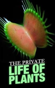 The Private Life of Plants