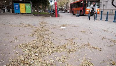 El Zonda se siente en el llano: hay alerta amarilla y la máxima llegó temprano a los 25°C | Sociedad