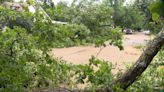 Irving neighbors help one another after fallen trees block roads, land on homes