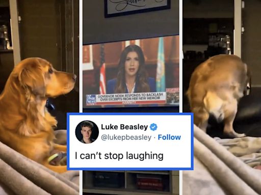 I Spent Way, Way Too Much Time On The Internet Last Month, So Here Are The 33 Funniest Political Tweets I Could...