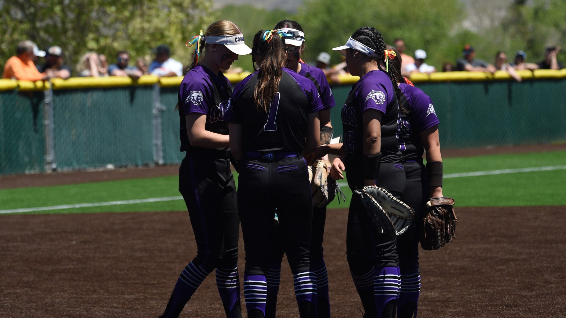 Nevada high school state softball playoffs: Douglas looks to repeat; see all schedules here
