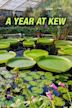 A Year at Kew