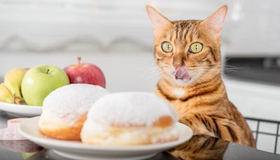 Can cats taste sugar?