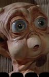 Experiment 1201: Mac and Me