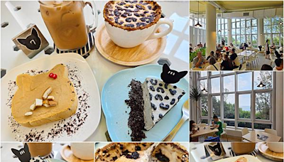 海景、樹林、藍天、豹貓花紋咖啡與蛋糕，幽美愜意的咖啡館