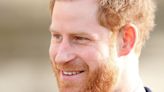 Prince Harry ‘has no need to be a US citizen' as US visa status doubts erupt