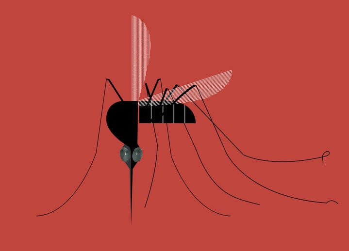 3 Signs It’s Time to Start Worrying About a Mosquito Bite