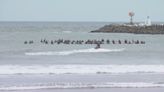 Family, friends ‘paddle out' in Ocean Beach in memory of 3 surfers killed in Mexico