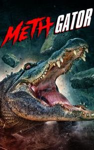 Attack of the Meth Gator