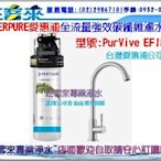 EVERPURE愛惠浦 全流量強效碳纖維濾水器PURVIVE- EF1500 (公司貨)(含運)(附發票)