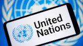 UN excluding tech experts from the future of internet governance, experts warn