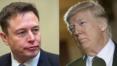 Trump Says Elon Musk Has Agreed To Lead Government Task Force: Everything They’ve Said About Working Together