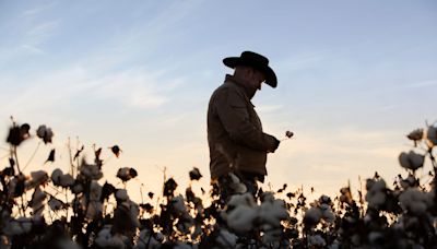 Here’s How Regenerative Agriculture Benefits the Cotton Supply Chain