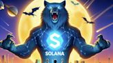 Solana Poised for $250 Surge as Network Activity Hits Record High: What's Next? - EconoTimes
