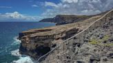 Conservation fence protects endangered seabirds at Molokai preserve