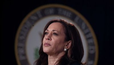 What a Kamala Harris presidency might look like