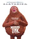 Missing Link