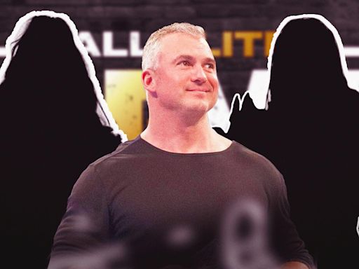 3 Best Fits For Shane McMahon In AEW