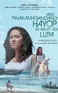 Ang pinakamagandang hayop sa balat ng lupa