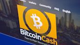 Bitcoin Cash Price Predictions: Where Will the BCH Crypto Go Next After Rally?