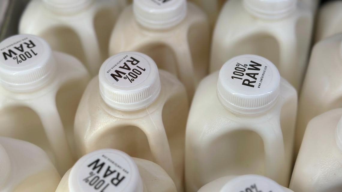 Dozens were sickened with salmonella after drinking raw milk from a California farm