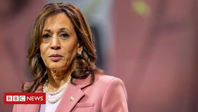 Os pontos fortes e fracos de Kamala Harris como candidata democrata