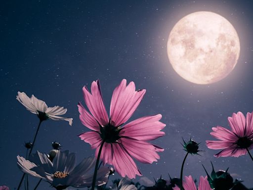Expect to be go-go-go this weekend, thanks to the full moon in Sagittarius on May 23