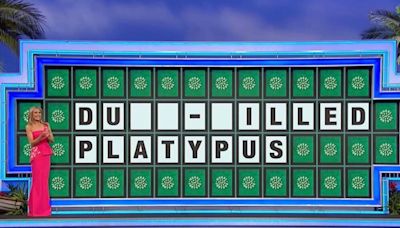 'Wheel of Fortune' Fans Shocked By Contestant's 'Painful' Letter Pick on Easy Puzzle